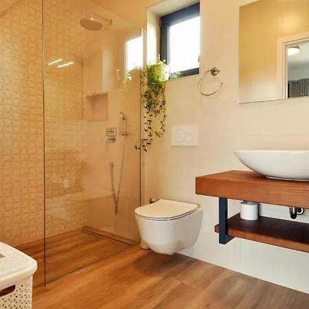 Villa Modern With 4 Bedrooms And Pool Near Pula Šišan